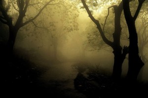 434815943_5646db1217 434815943_5646db1217