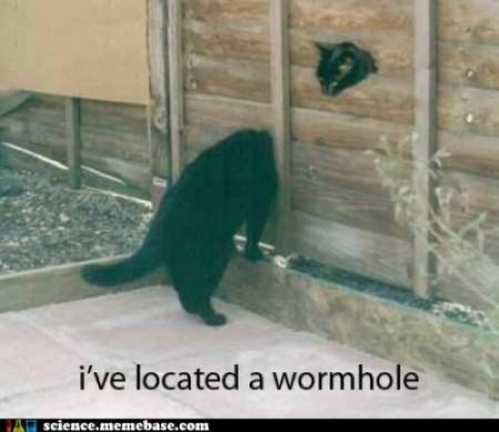 image-result-for-http-chzscience-files-wordpress-com-2011-12-funny-science-news-experiments-memes-the-strangest-part-is-that-her-12a47178-sz500x433-animate