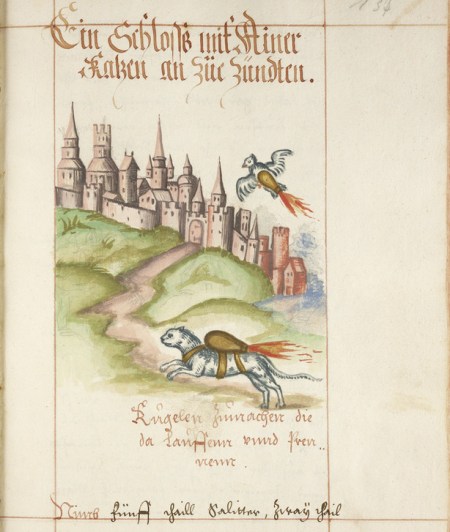 catandbirdrocket-thumb-615x727-111649