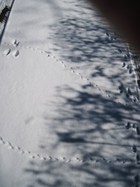 tracks3