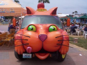 cat car1