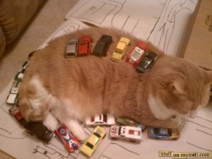 cat-cars