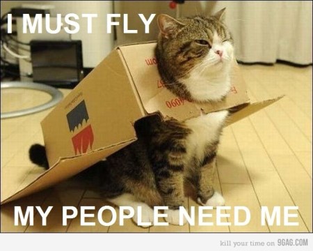 catplane2