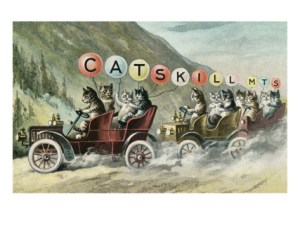 cats-in-cars-catskill-mountains-new-york