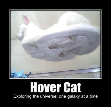 hovercat