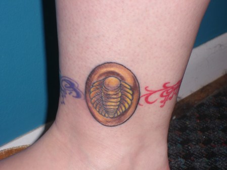 trilobite1