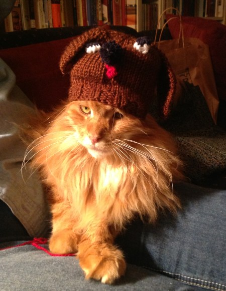 Sam in his doggie hat