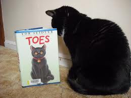 cat toes