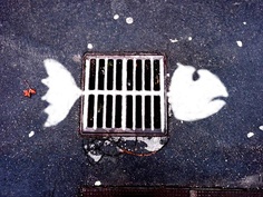 drain fish