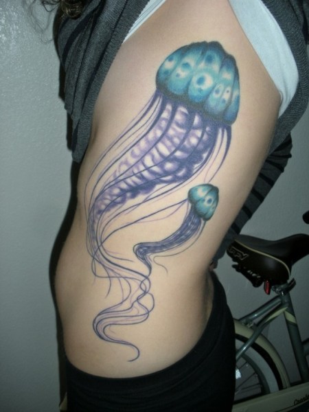 jellyfish 3
