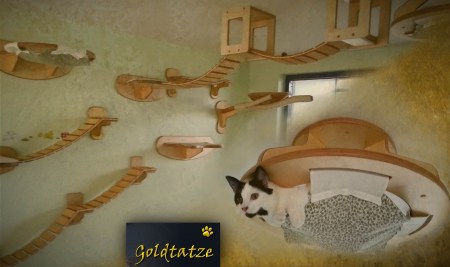 cat tree 2