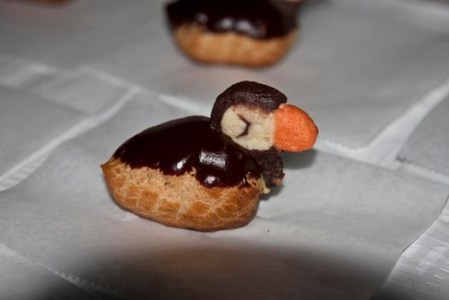 Puffin Center Rockland Maine