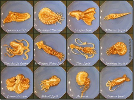 cephalopod_pancakes[4]