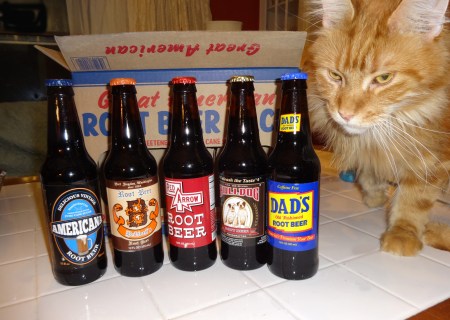 Root Beer with Sam