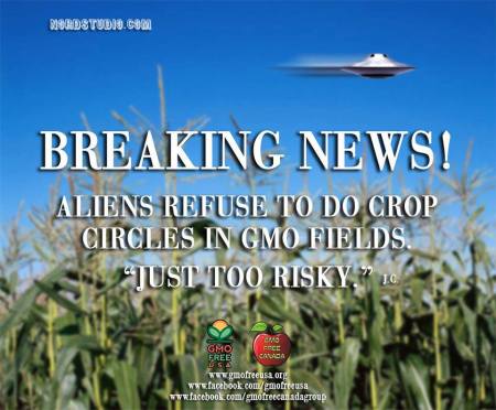 gmo crops