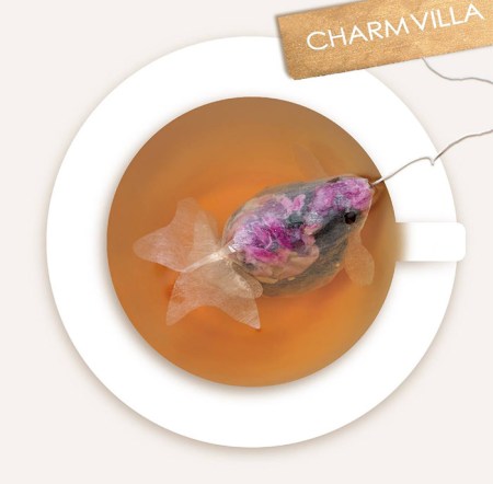 gold-fish-tea-bag-charm-villa-2