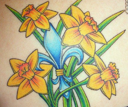 daffodil3
