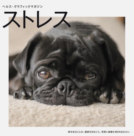 aisei-health-graphic-magazine-9