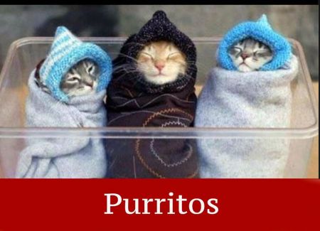 purritos