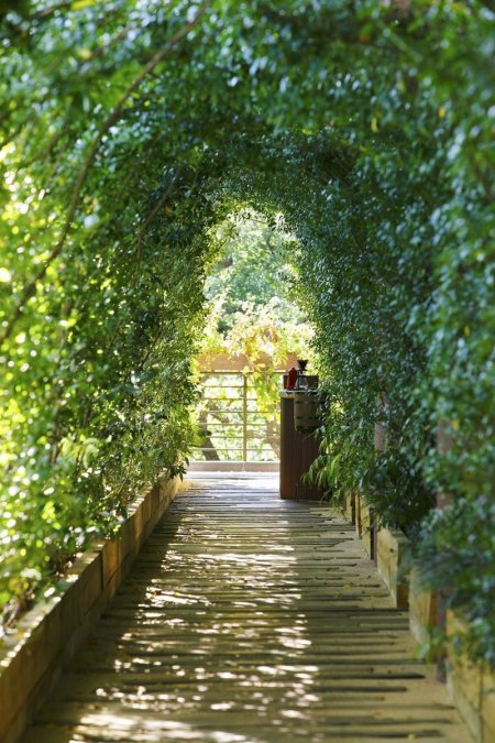 risonare-atami-treehouse-by-hiroshi-nakamura-7