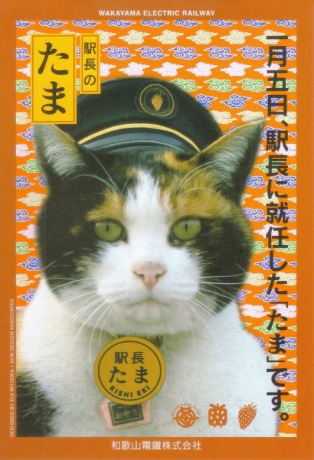 tamastation-master-tama