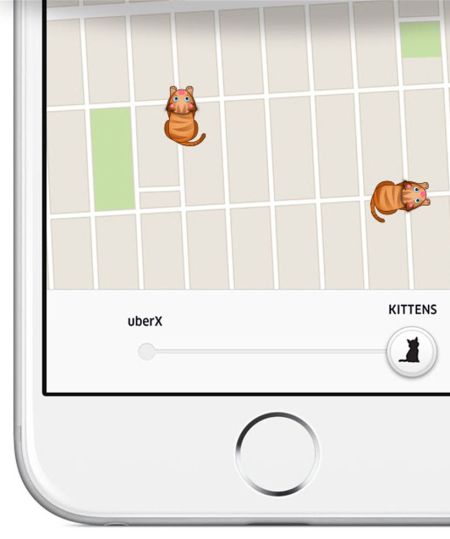 uber cats