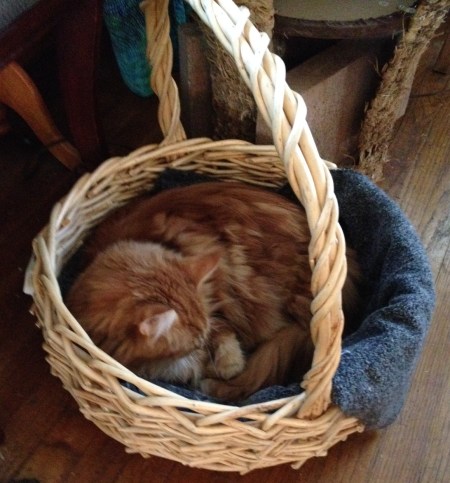 sam's basket