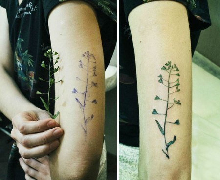 plant-tattoos
