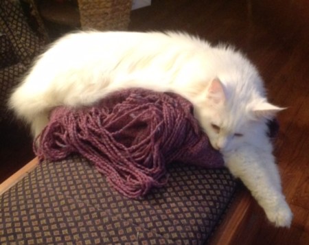 hobbes-and-mountain-blanker