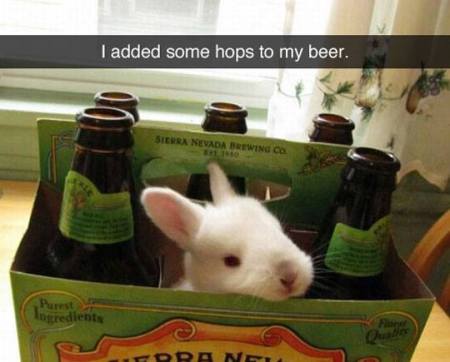 bunny-hops